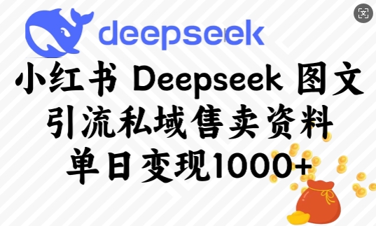 小红书DEEPSEEK图文引流私域售卖资料，单日变现多张-大林子俱乐部